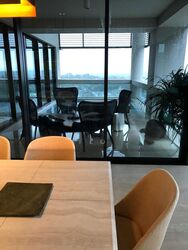 Hana (D10), Condominium #503163061